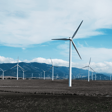Top-5 Companies from Renewable Energy Sector