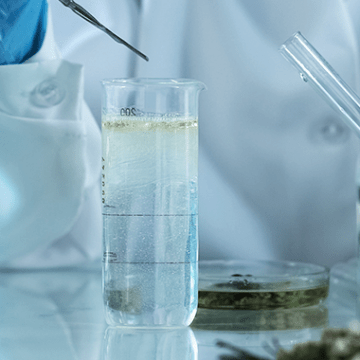 Top-5 Stocks of Biotech Companies