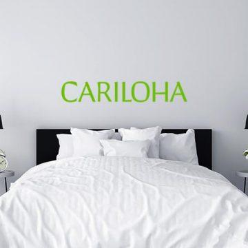 IPO of Cariloha: “Green” Investments in The Future