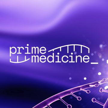 Prime Medicine IPO: The Largest Biotech Placement in 2022